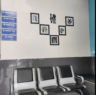 Metro Pet Care Model Town — Waiting area