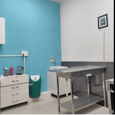 Metro Pet Care Model Town — Examination room