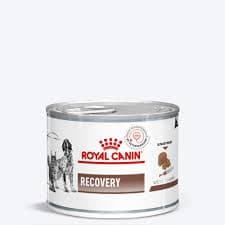 Royal Canin Veterinary Diet Recovery Can Wet Food