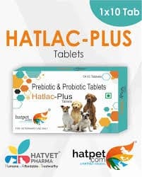 HATLAC PLUS TAB