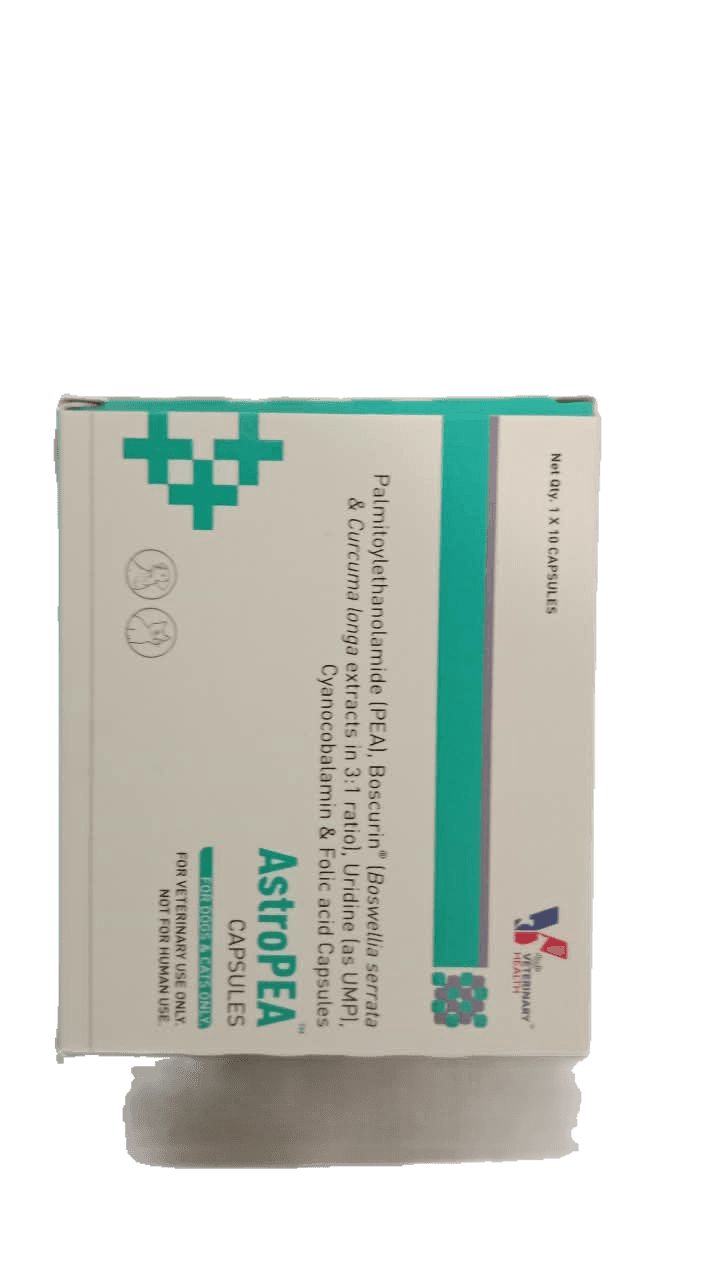 Astropea Capsule 2