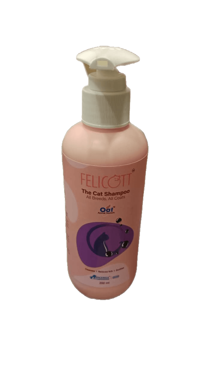 FELICOTT SHAMPOO