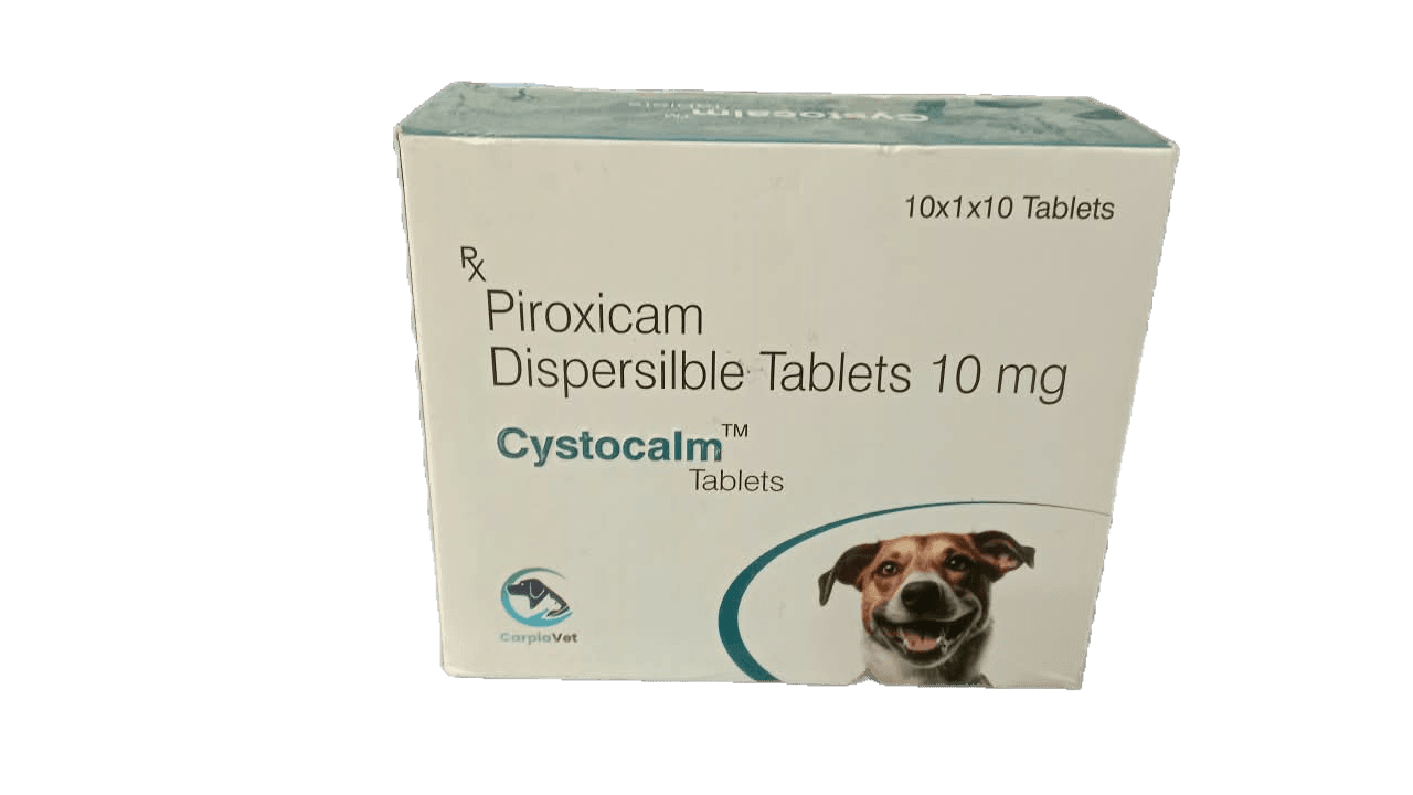 Cystocalm Tablets 2