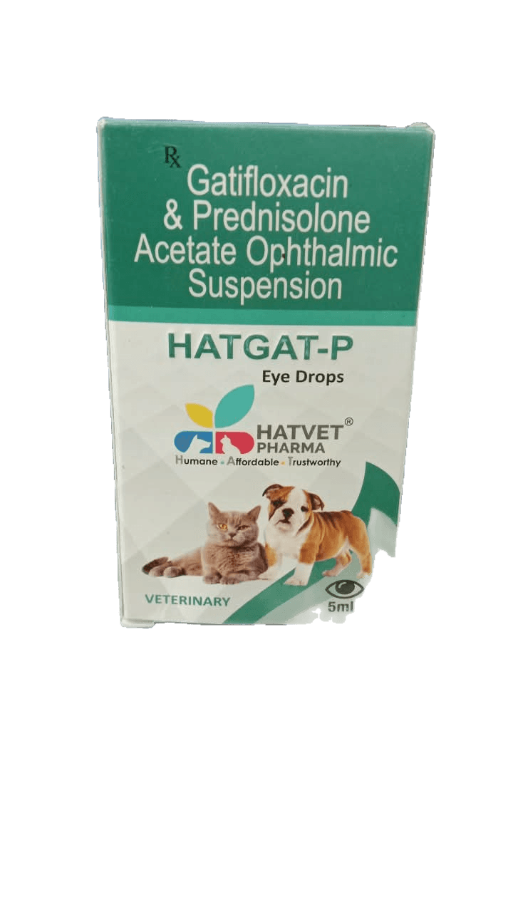 Antibiotic & Anti-inflammatory Eye Drops