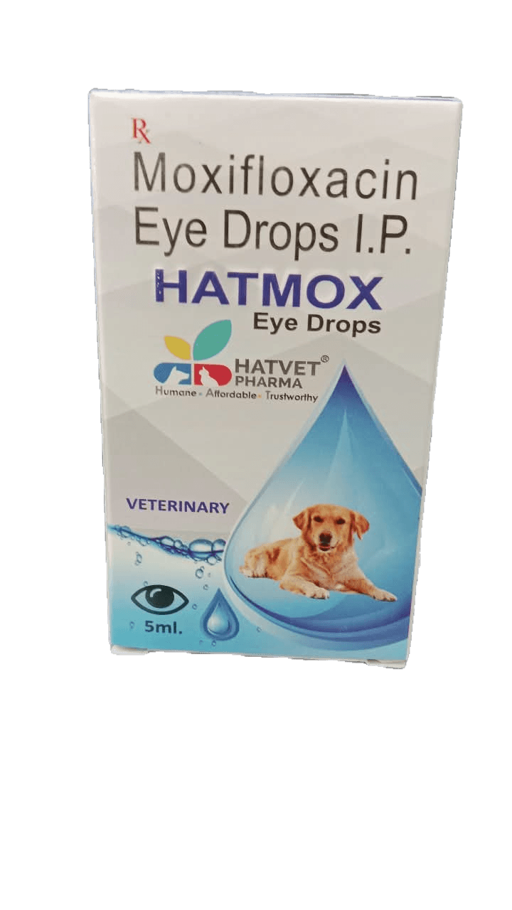 Antibiotic Eye Drops