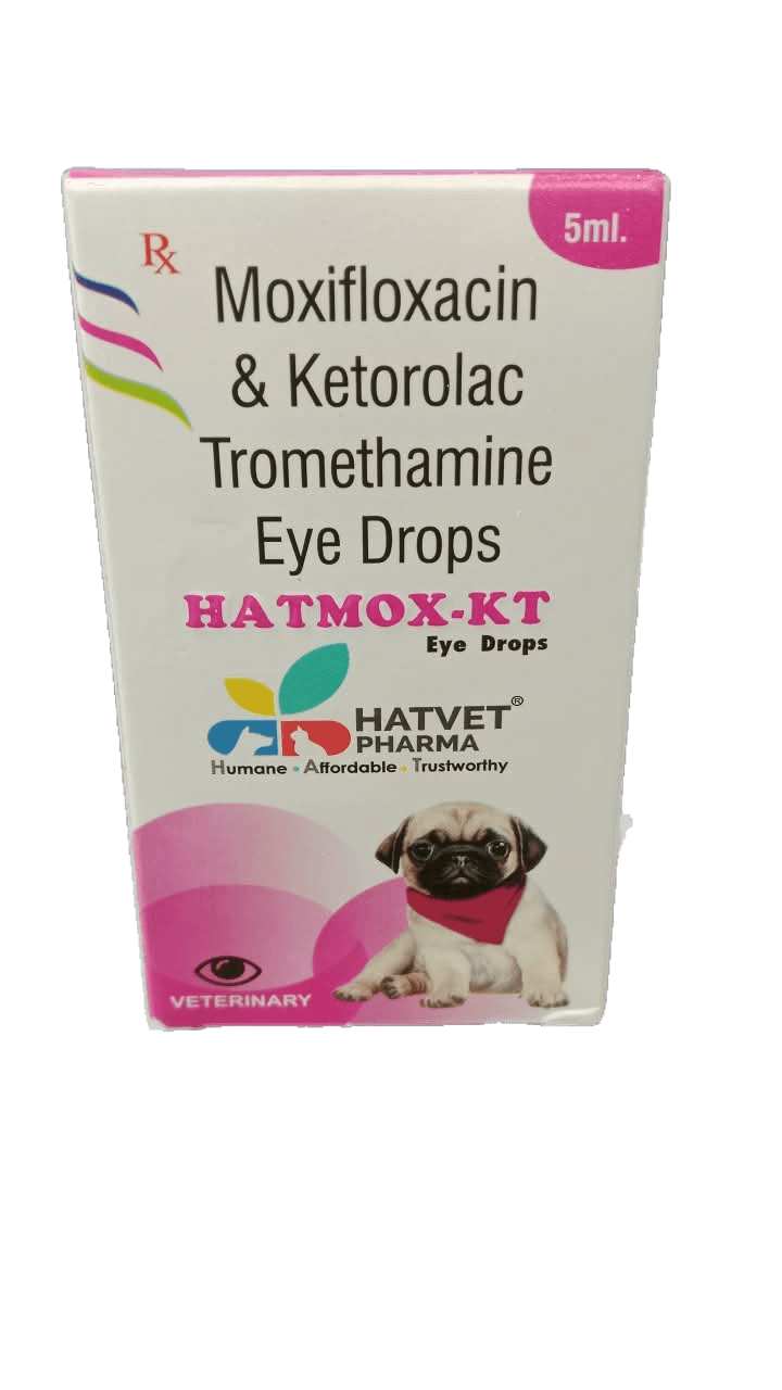 Antibiotic & Non-Steroidal Anti-Inflammatory Eye Drops