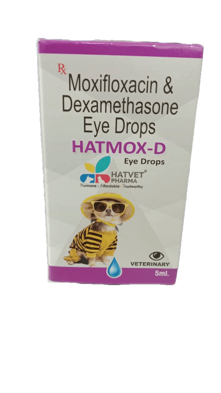 Antibiotic & Steroidal Anti-Inflammatory Eye Drops